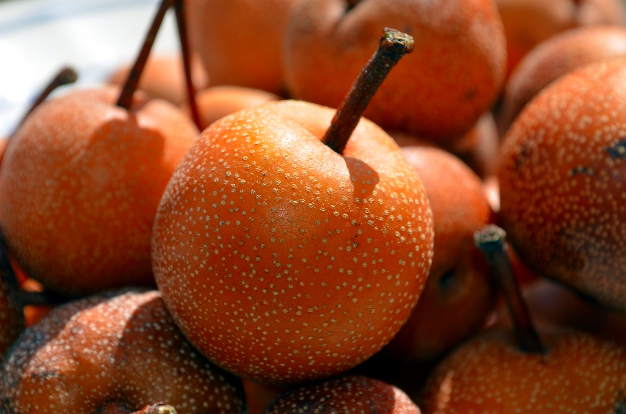 Image - pears nashi nashi pears apples