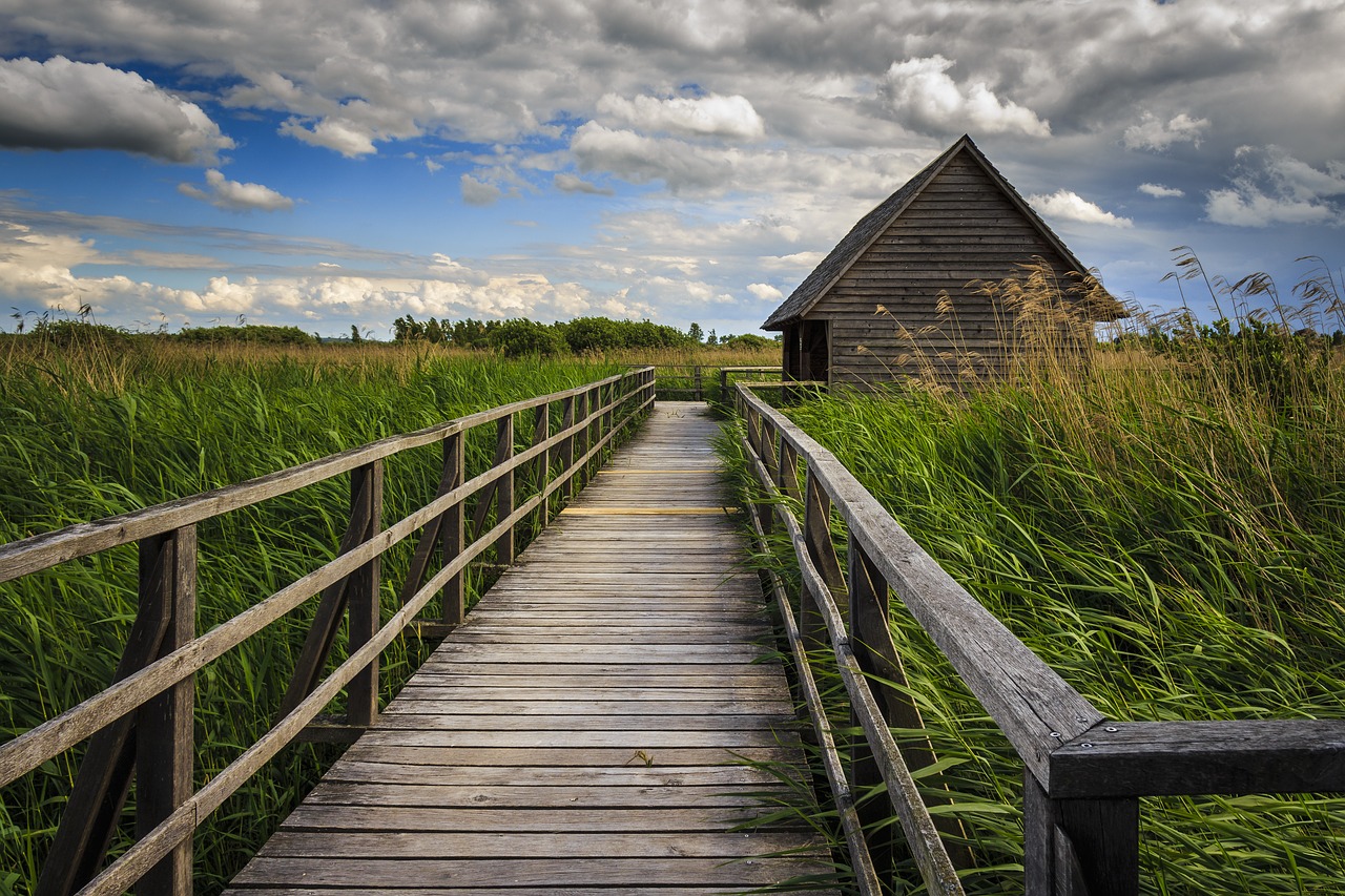 Image - bad buchau spring lake wooden bridge