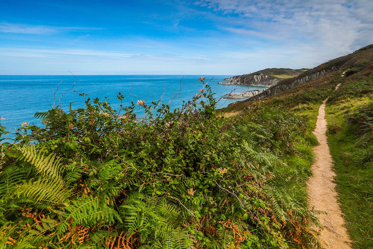 Image - coast walkway ocean england