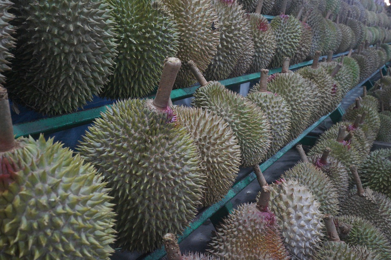 Image - durian fruit king of fruits tropical
