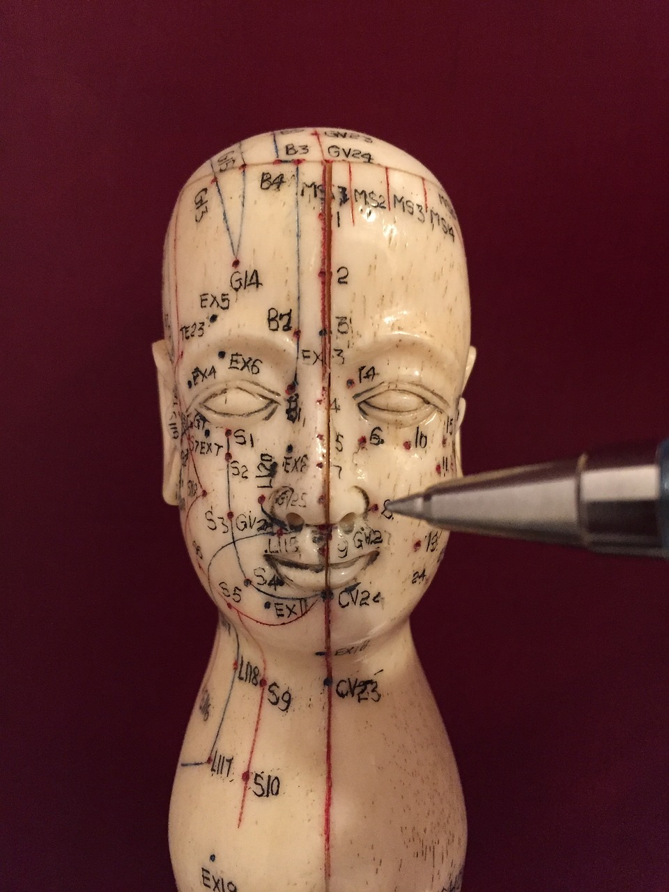 Image - acupuncture acupuncture points