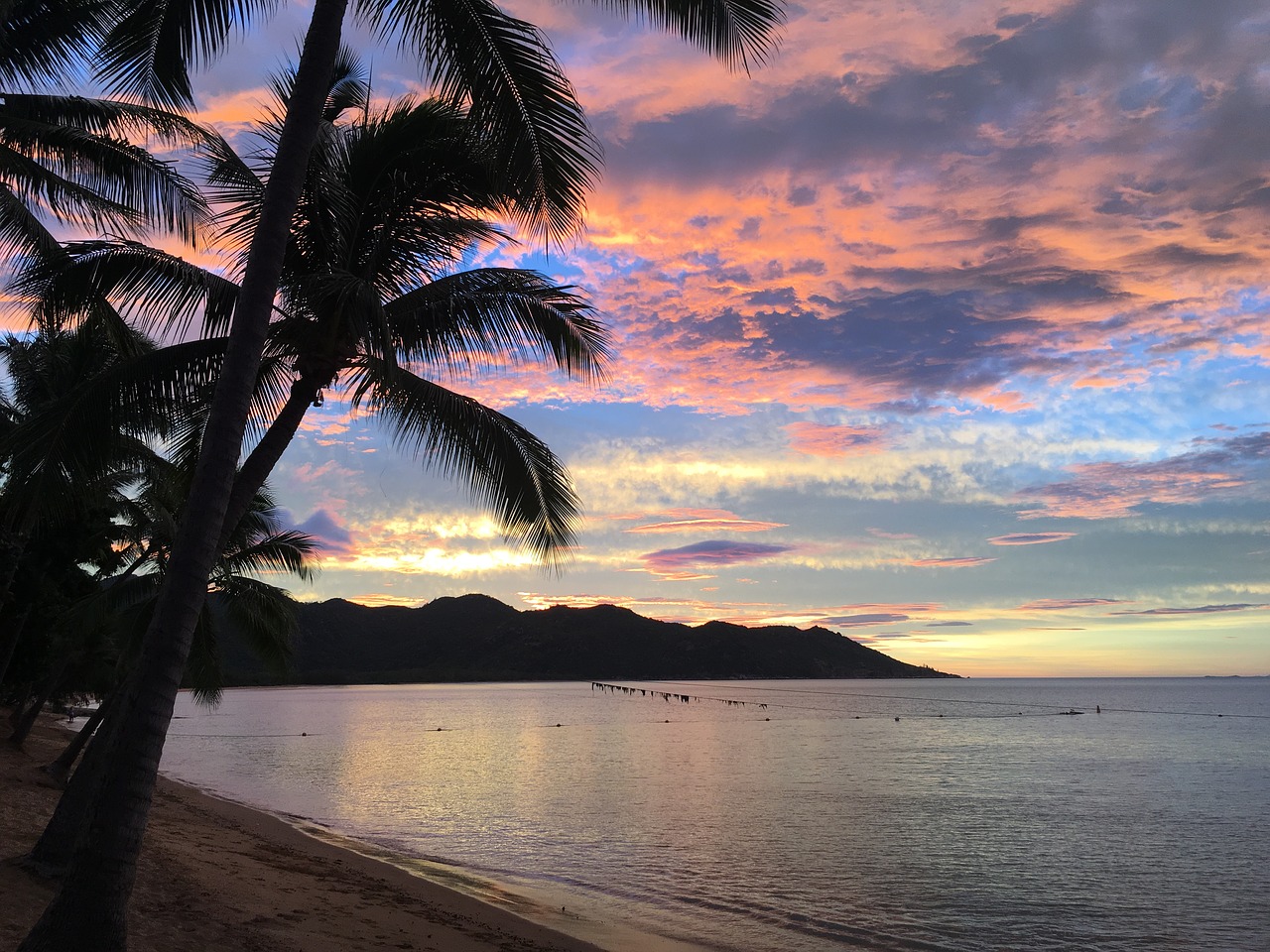 Image - magnetic island sunset palm trees