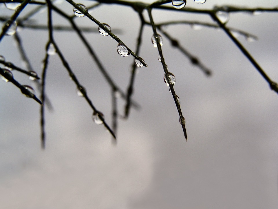 Image - rain drops grass nature