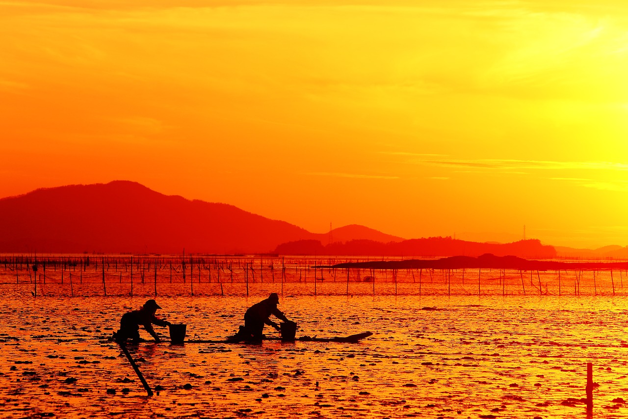 Image - republic of korea glow suncheon bay