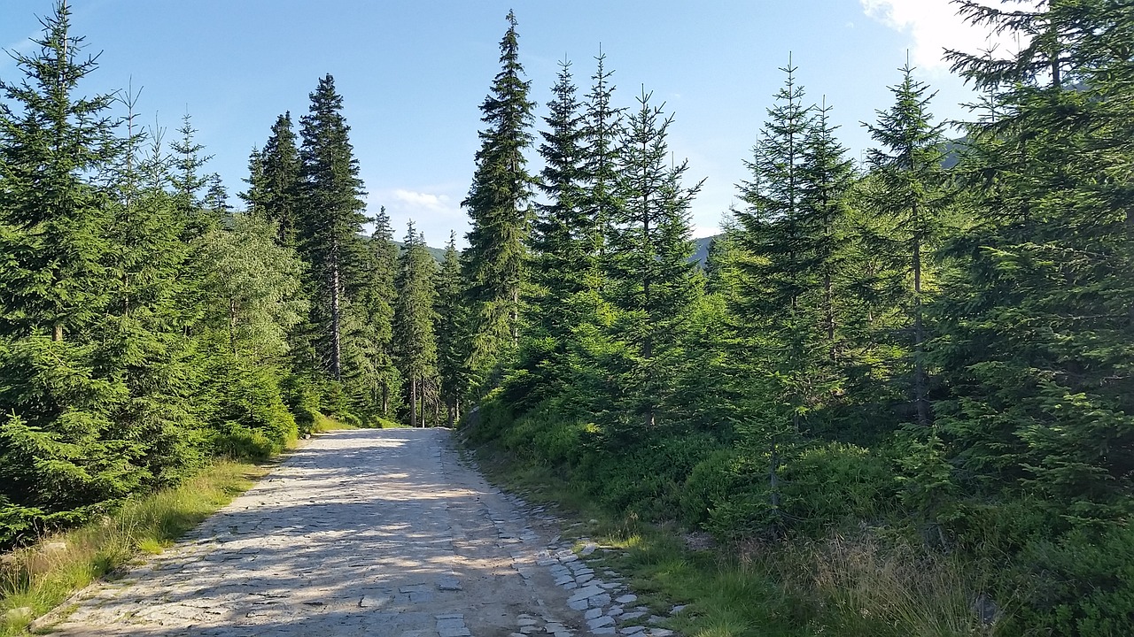 Image - karpacz mountains hiking trails