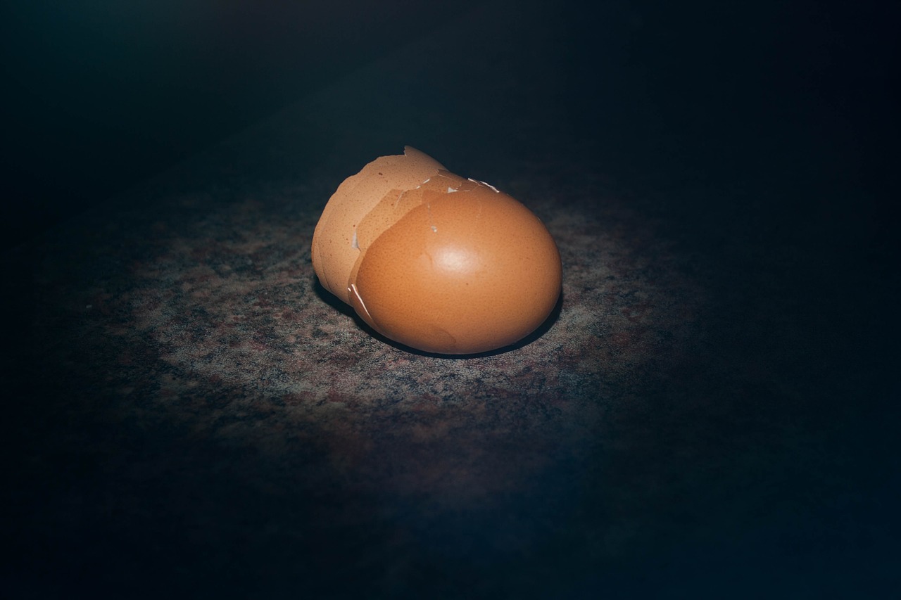 Image - egg shell egg chicken breakfast
