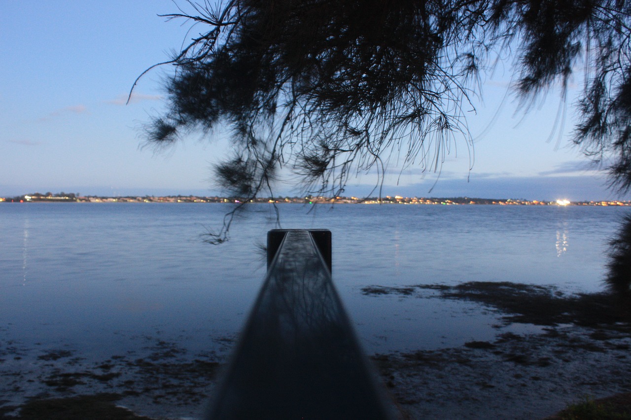 Image - tree jetty river