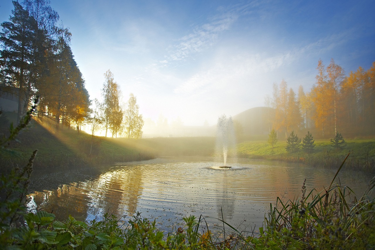 Image - pond autumn finnish nature