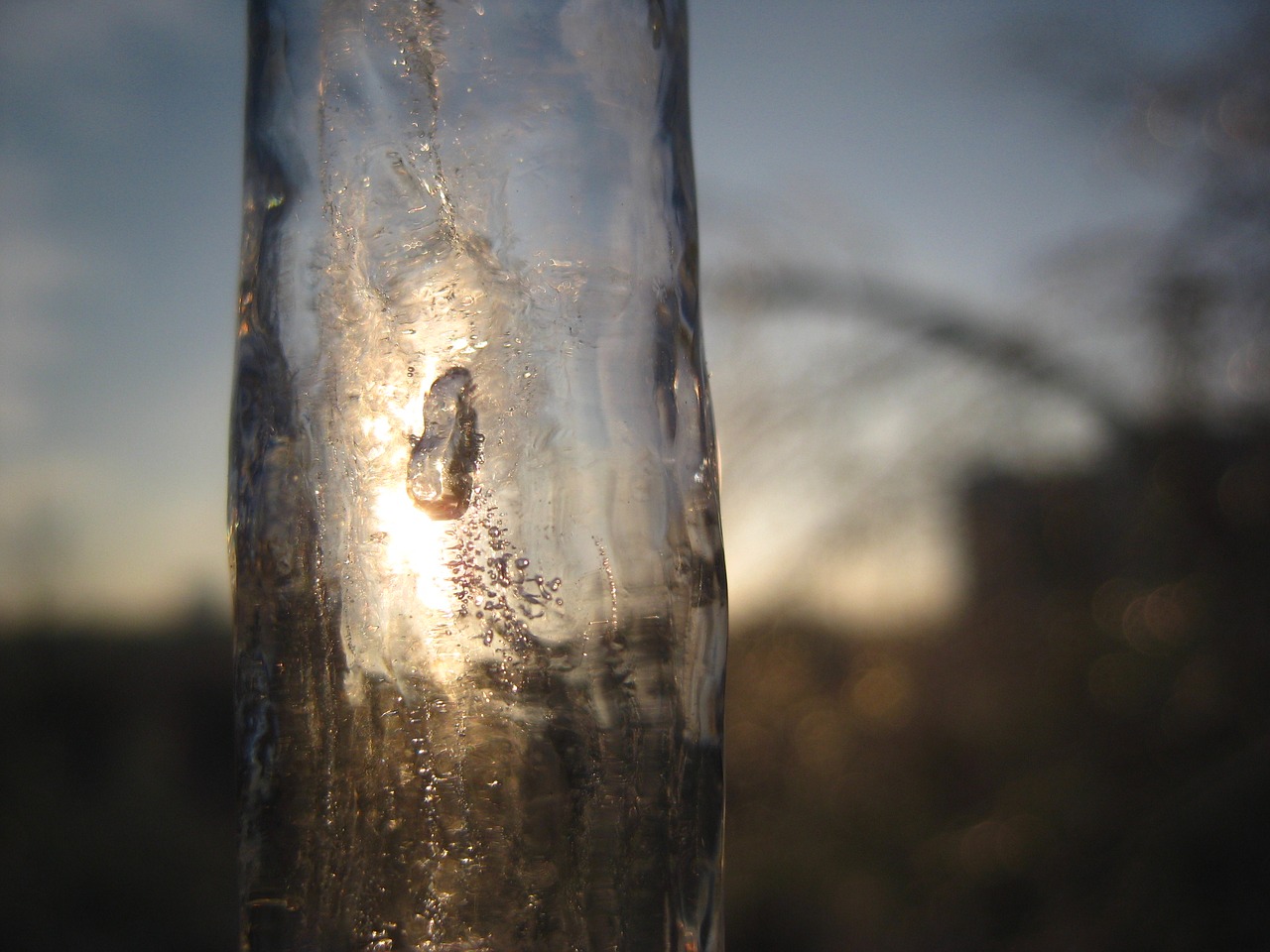 Image - winter spring freezing rain branch