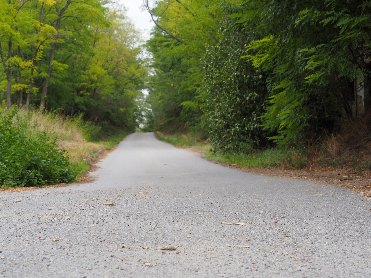 Image - away road landscape asphalt nature