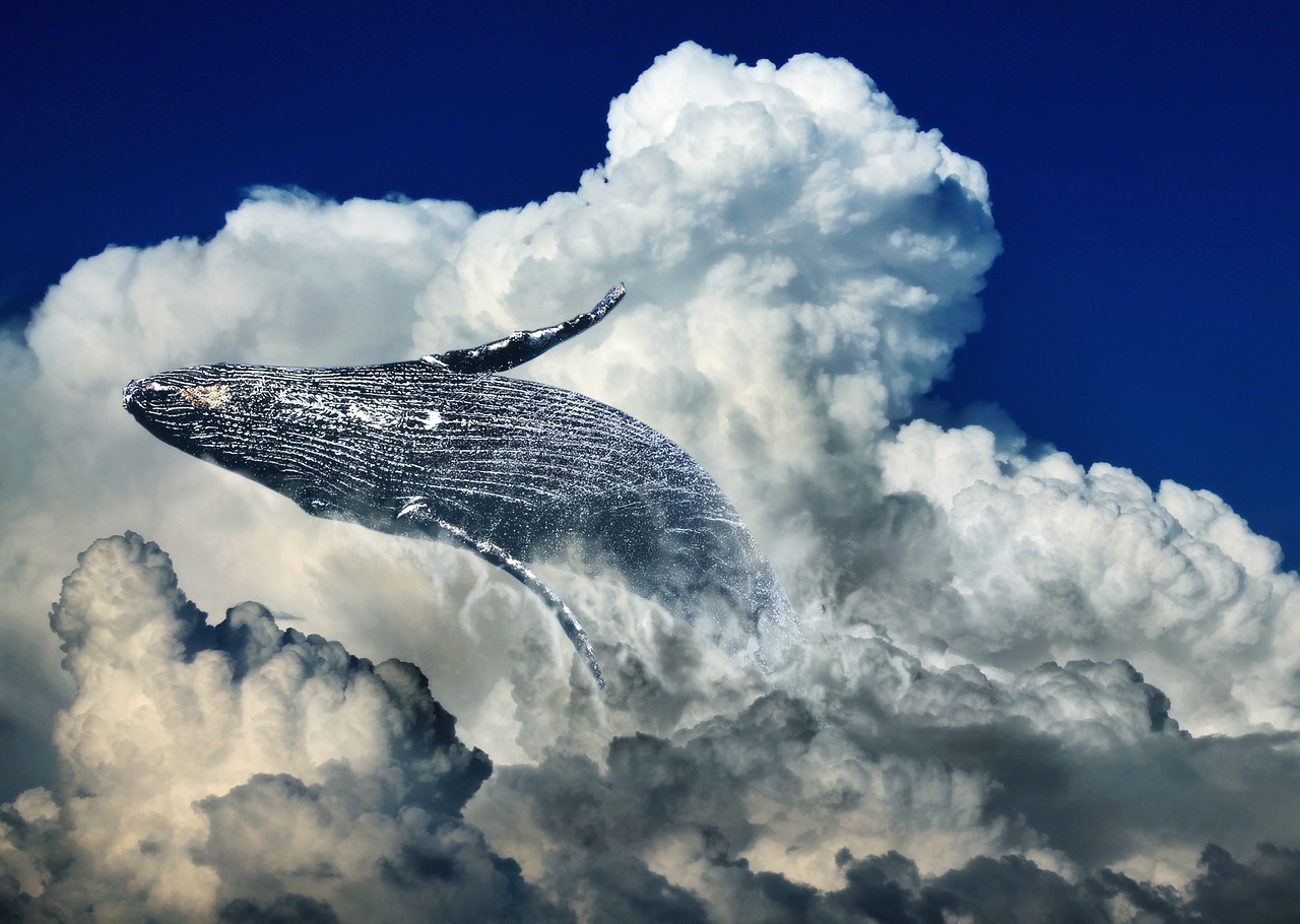 Image - wal clouds jump humpback whale