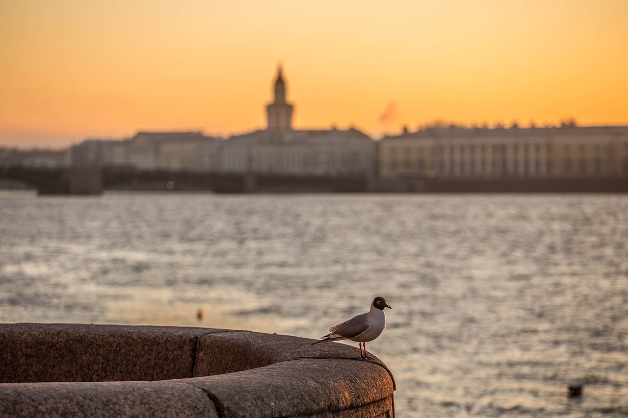 Image - st petersburg stroll city evening