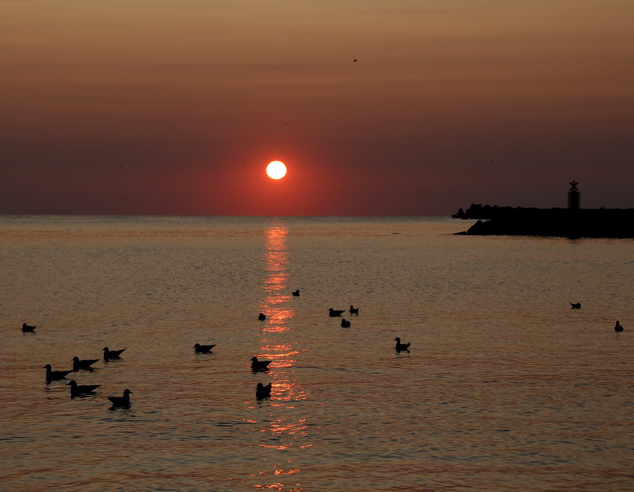 Image - sunrise great water seagulls