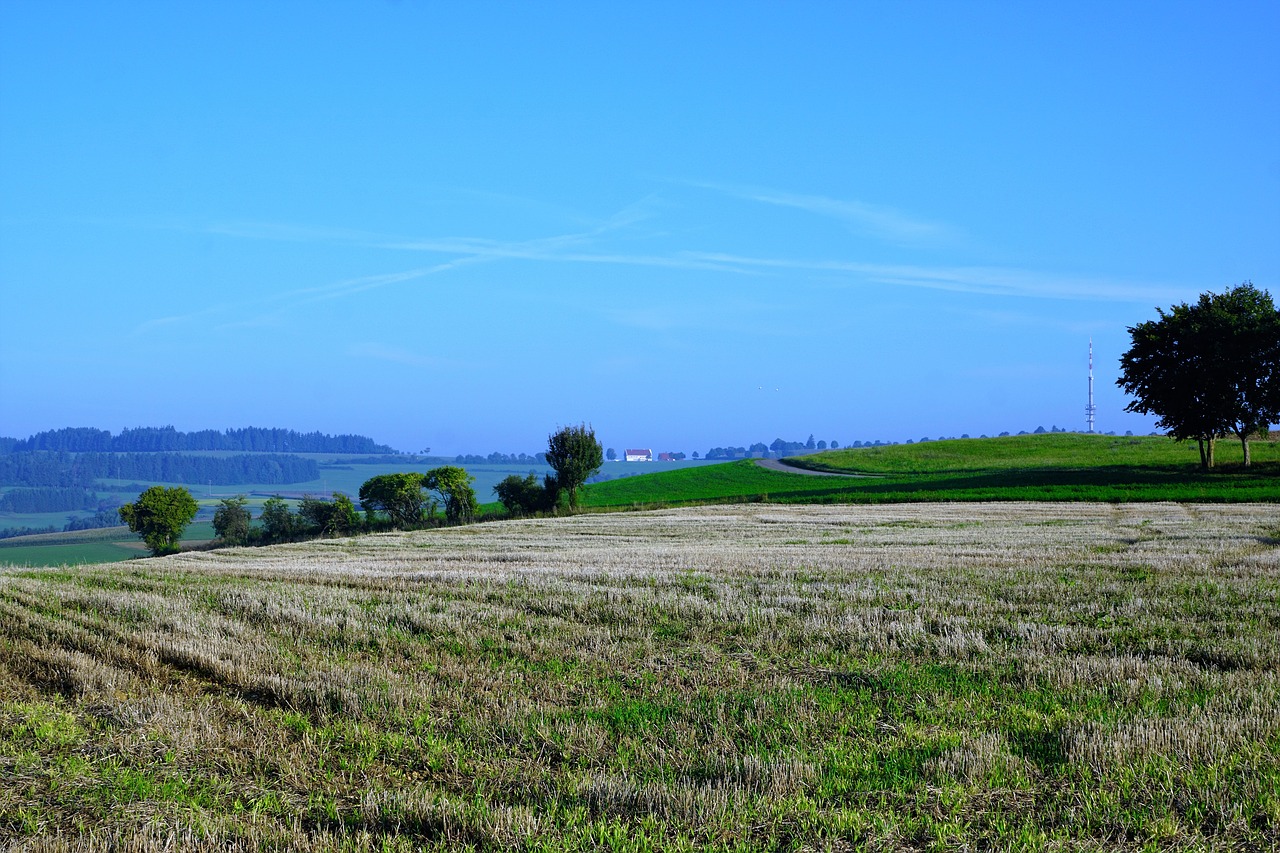 Image - field meadow emmingen liptingen