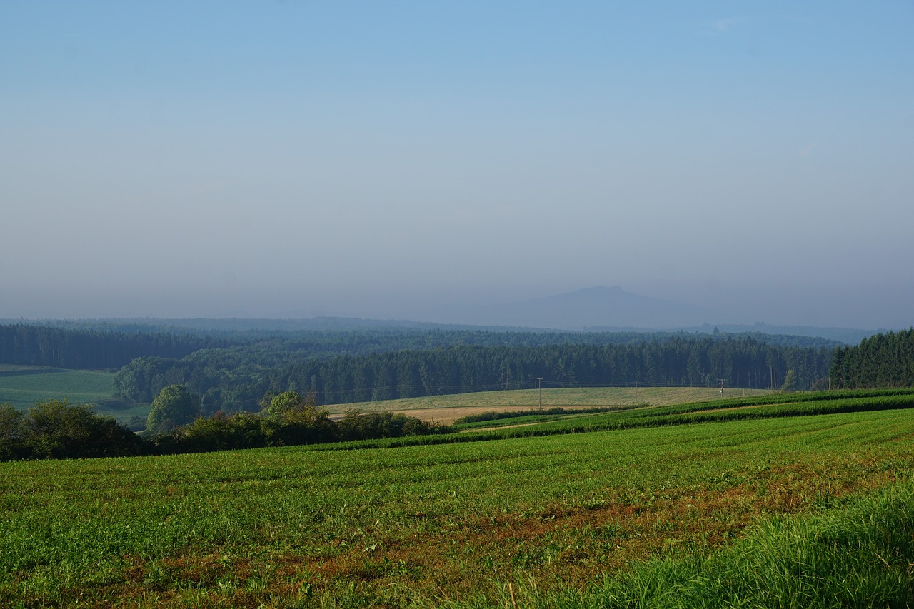 Image - meadow field emmingen liptingen