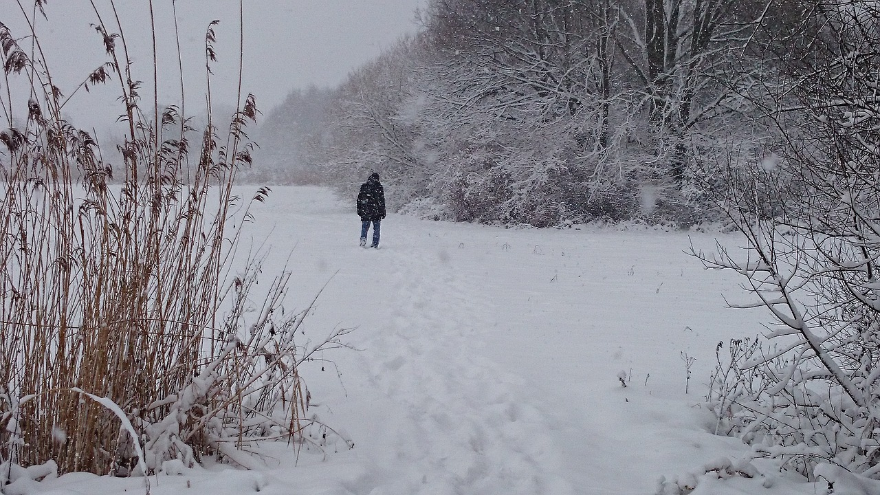 Image - winter snow rushes spacer biel