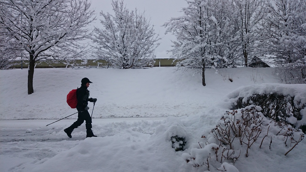 Image - winter snow nordic walking frost