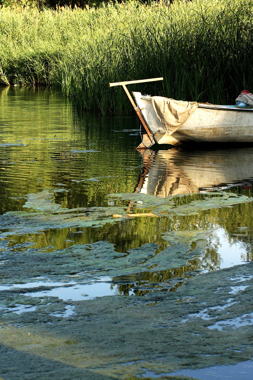 Image - boat river lake nature green