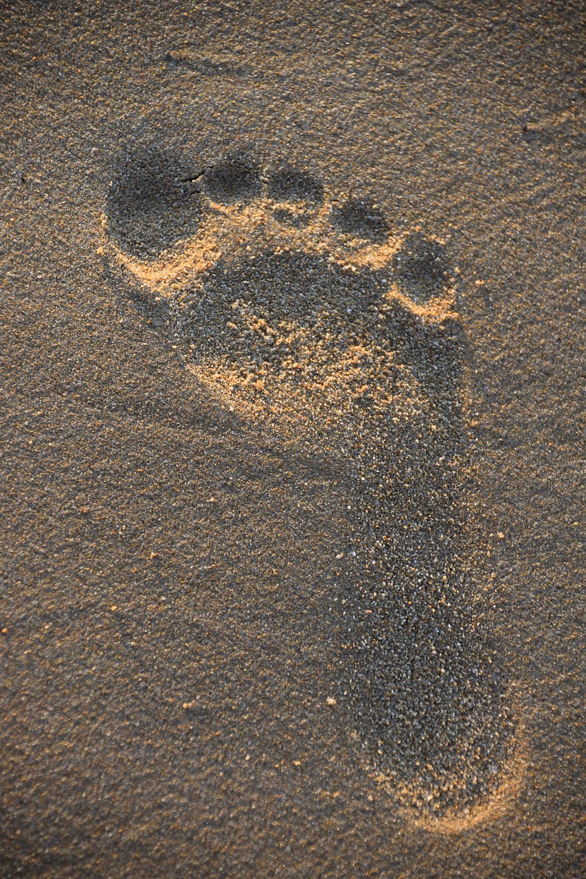 Image - traces sand pilot beach resort