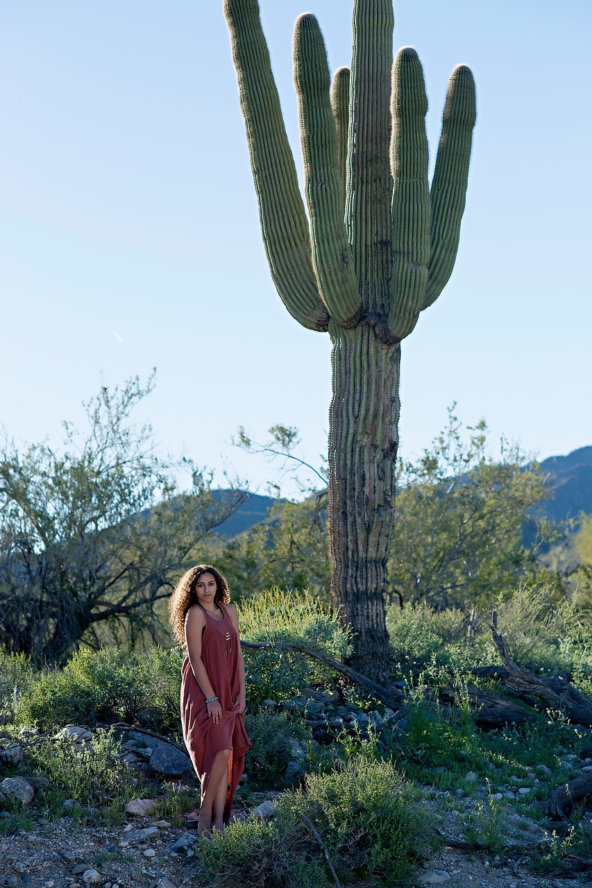 Image - desert cactus road girl saguaro