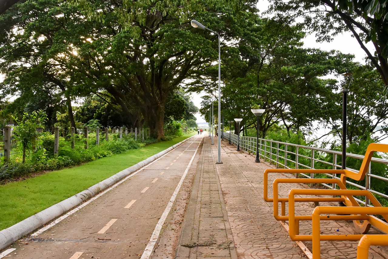 Image - road bicycle lane bike street