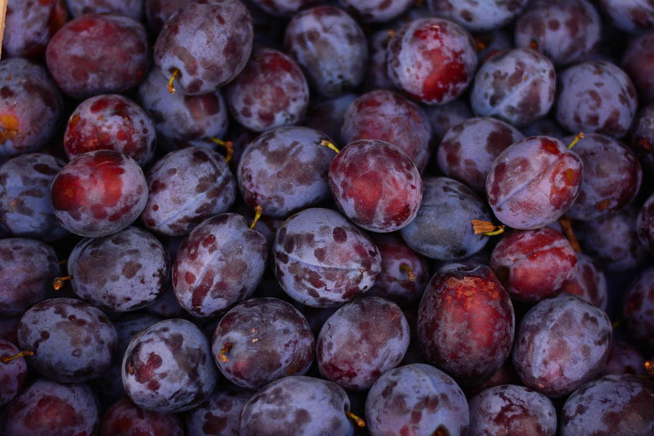 Image - plums fruit ripe violet fruits