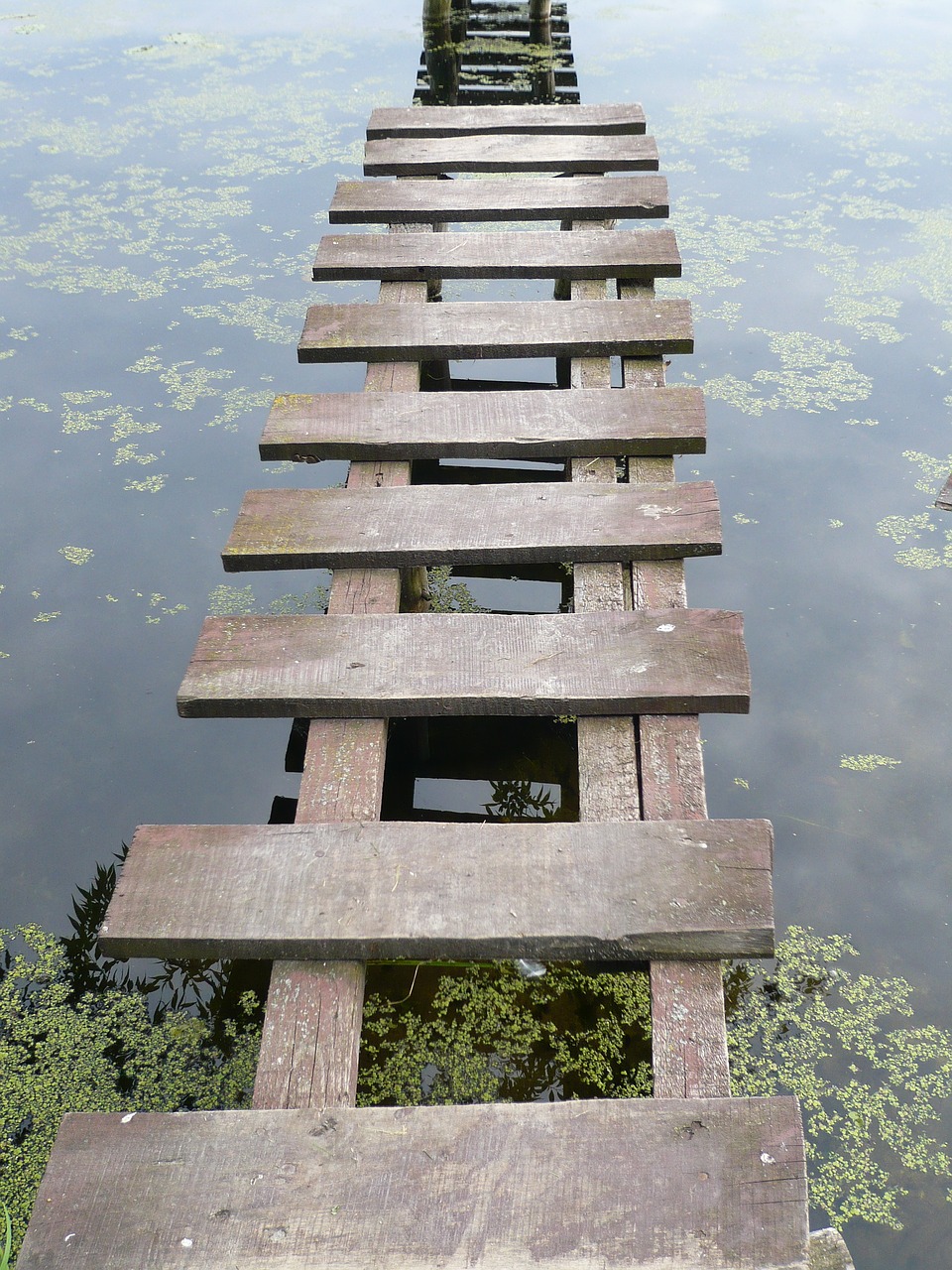 Image - pond river boat summer marina