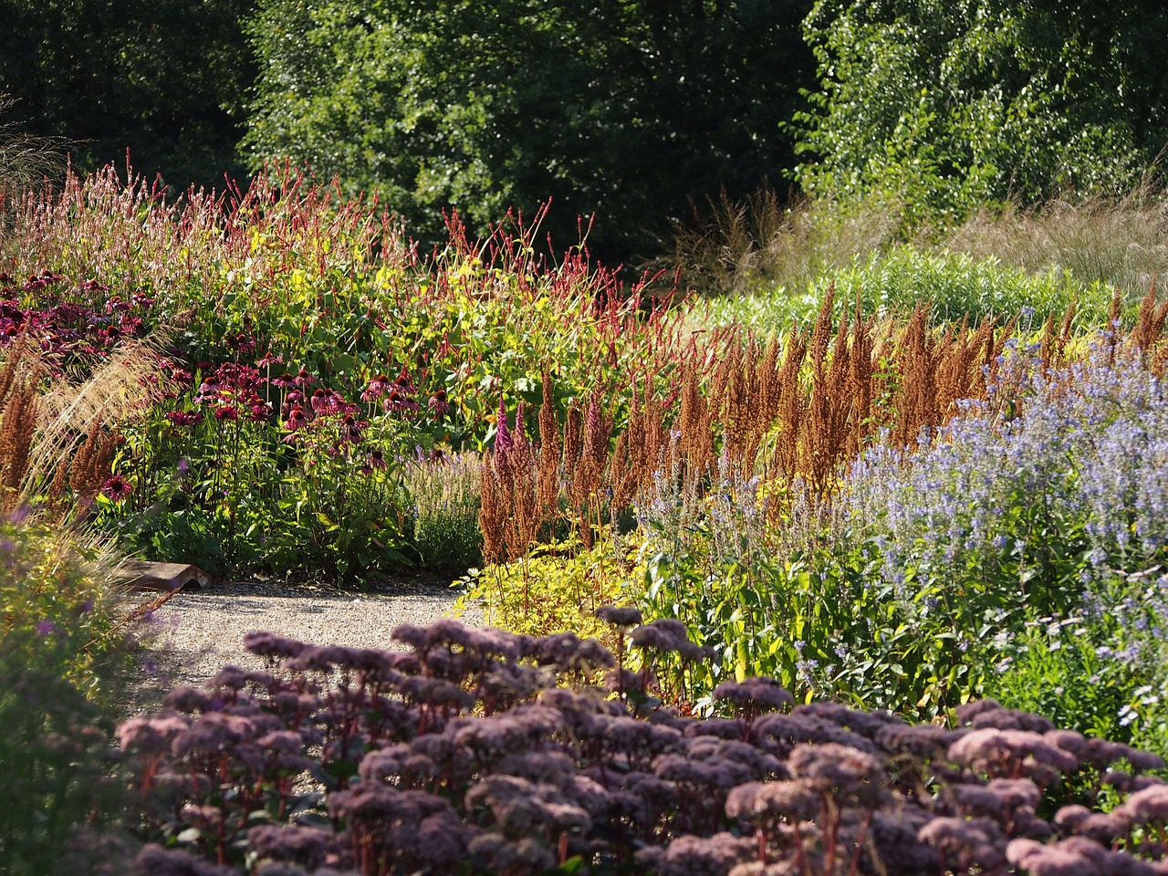 Image - pensthorpe garden natural planting