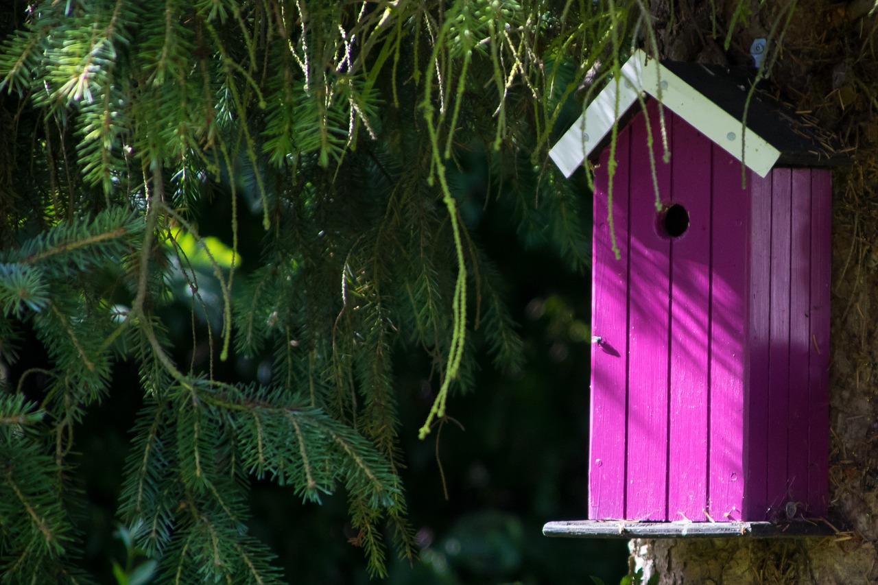 Image - nesting box pink colors contrast