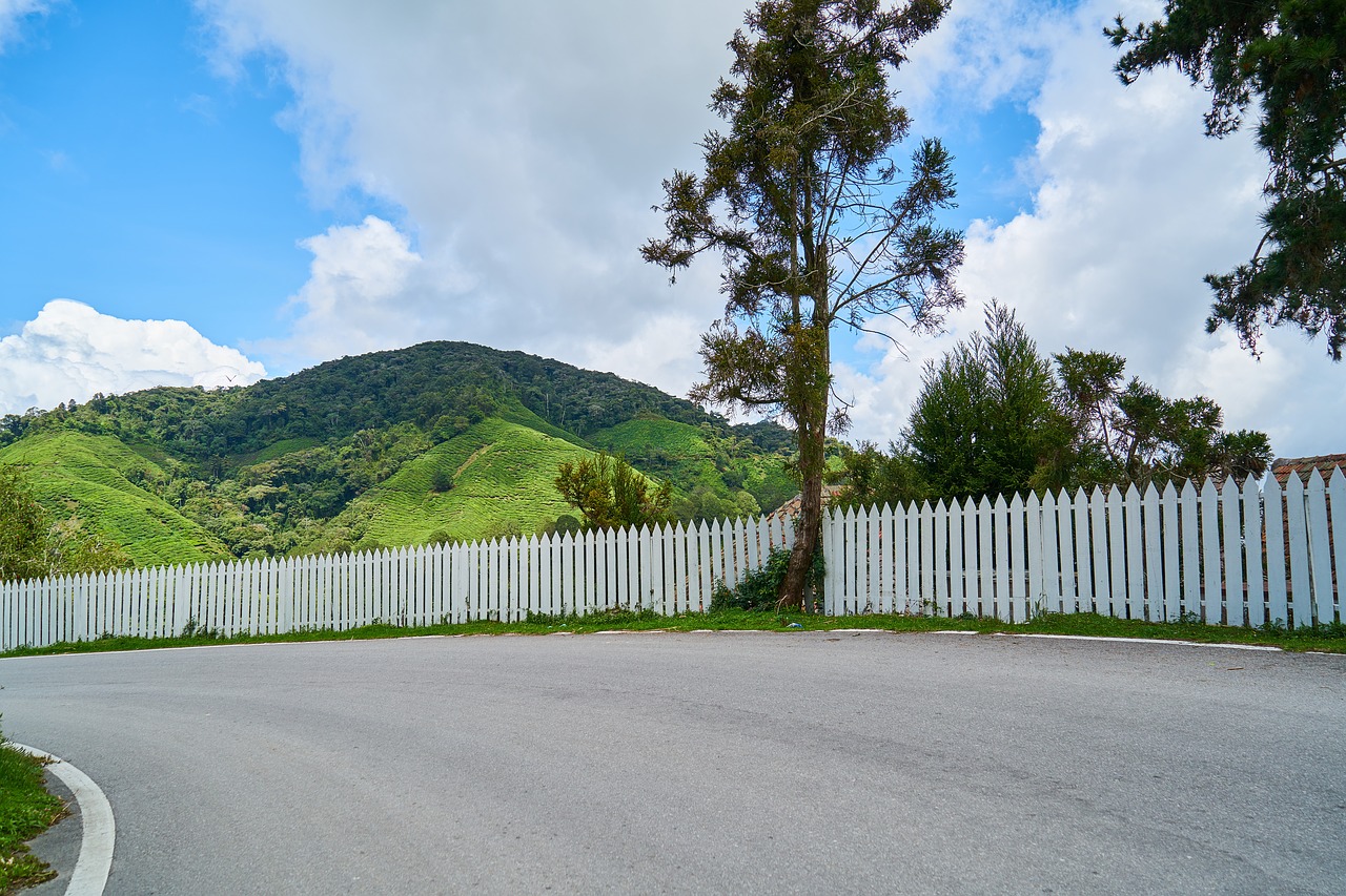 Image - road fence go the return home