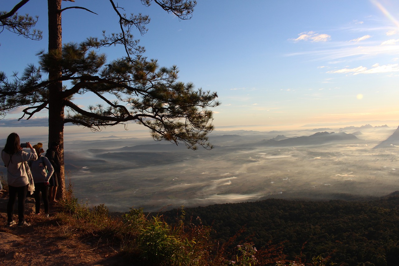 Image - kradueng nature the sun thailand