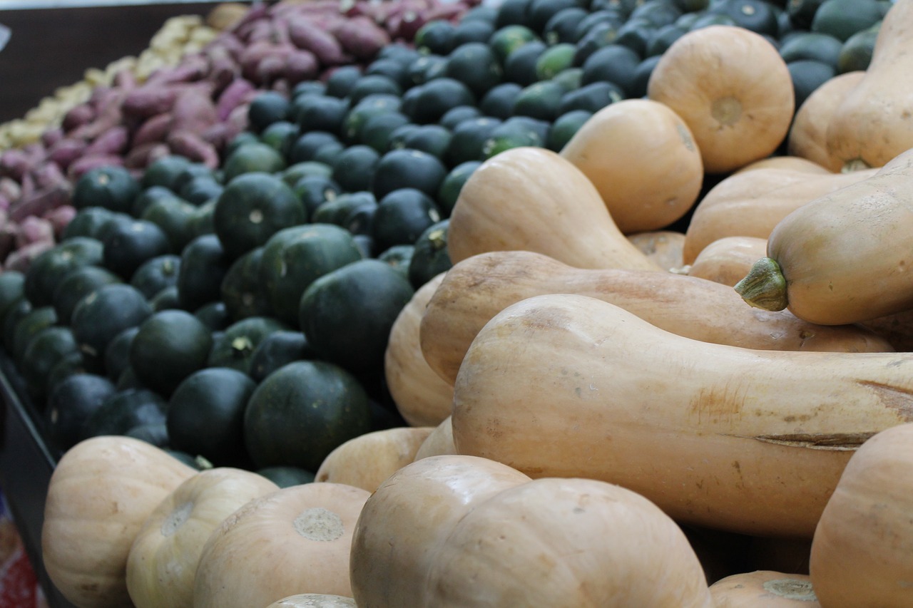 Image - food vegetable butternut squash