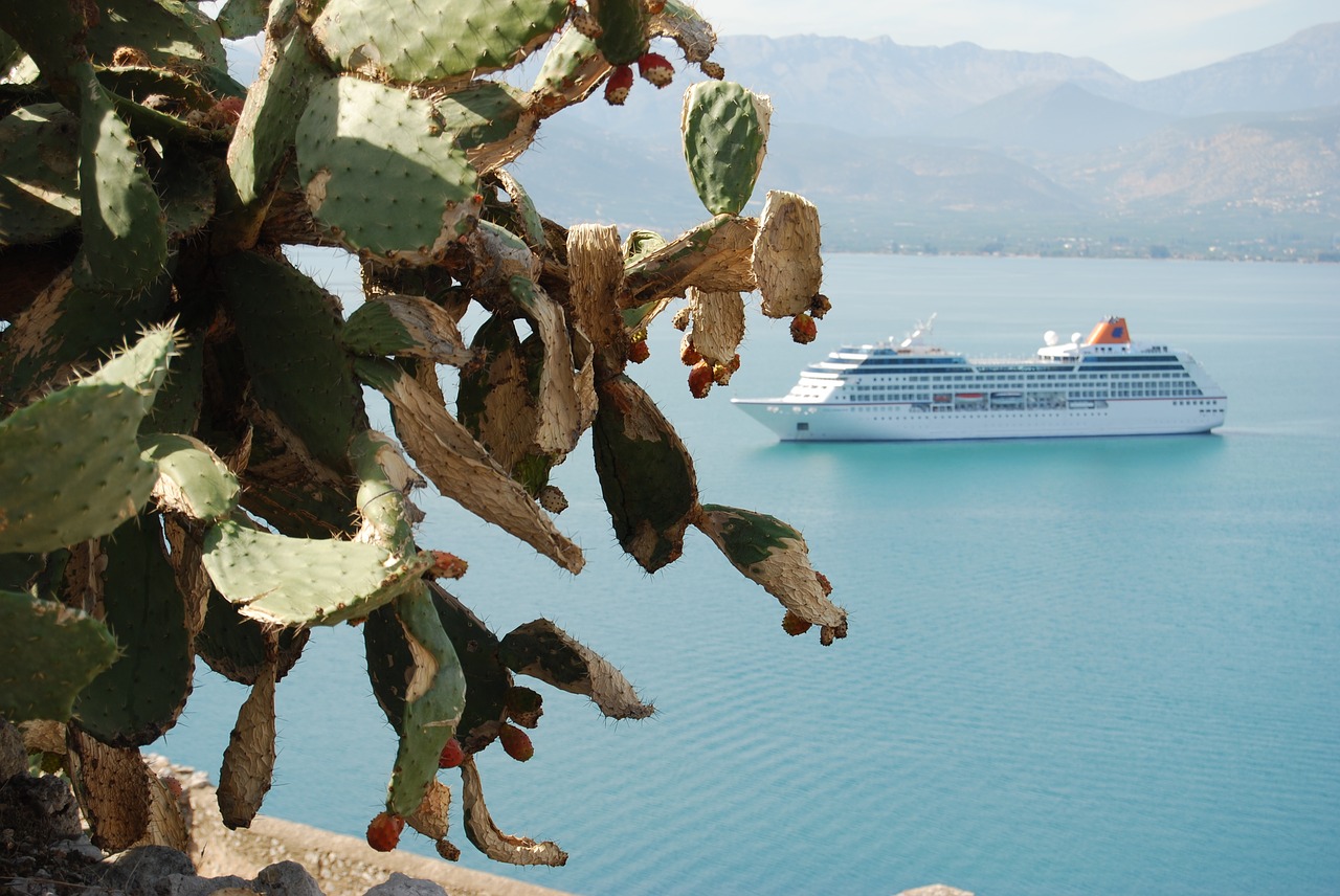 Image - sea water mediterranean vegetation