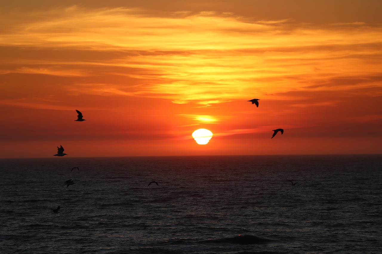 Image - sunset porto landscape