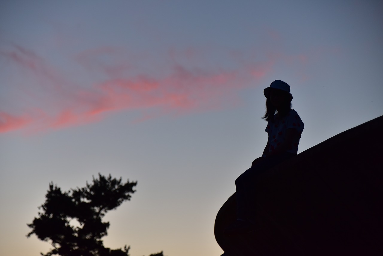 Image - silhouette sunset backlighting