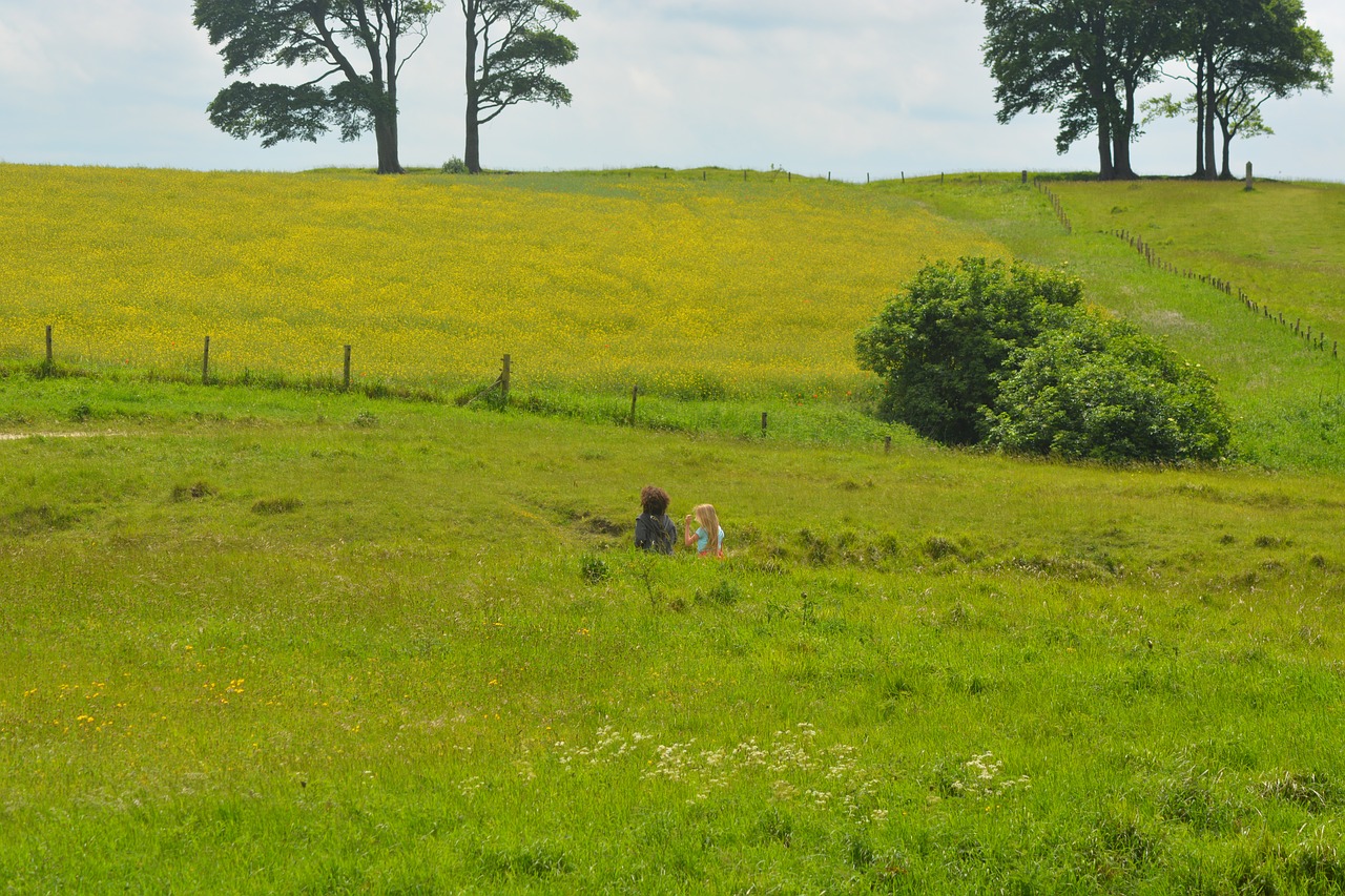 Image - a walk in the fields green nature