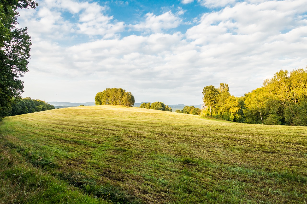 Image - meadow summer cloudy grass