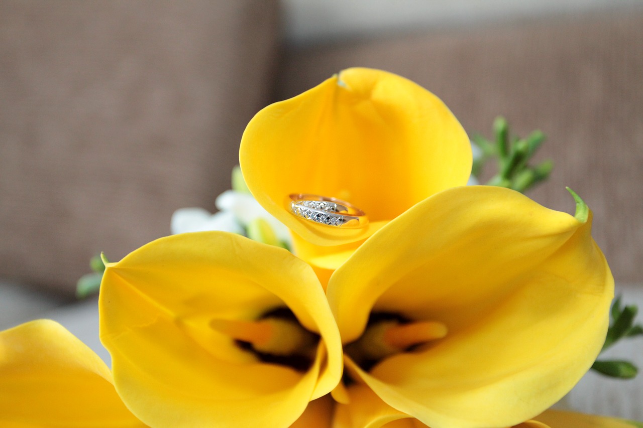 Image - wedding flowers calla lilies yellow
