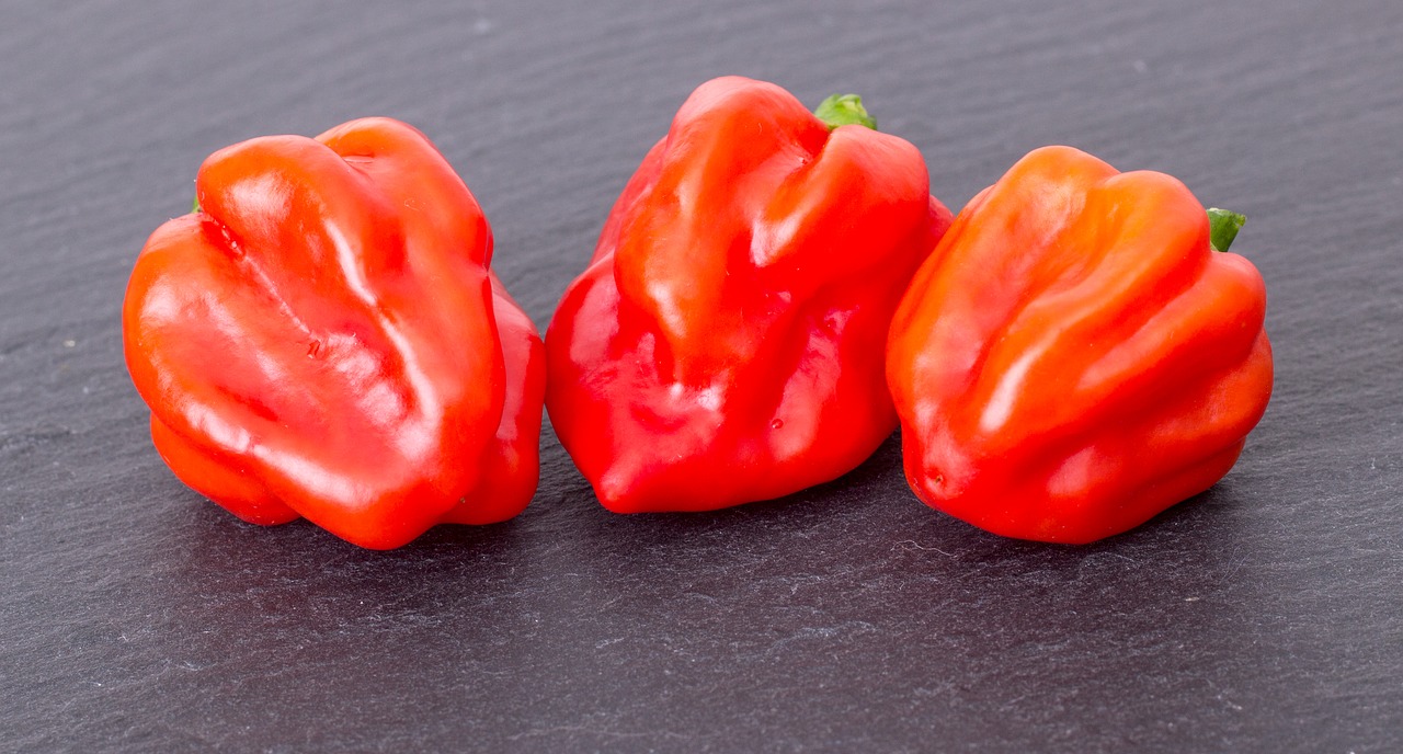 Image - paprika fruit chili healthy red