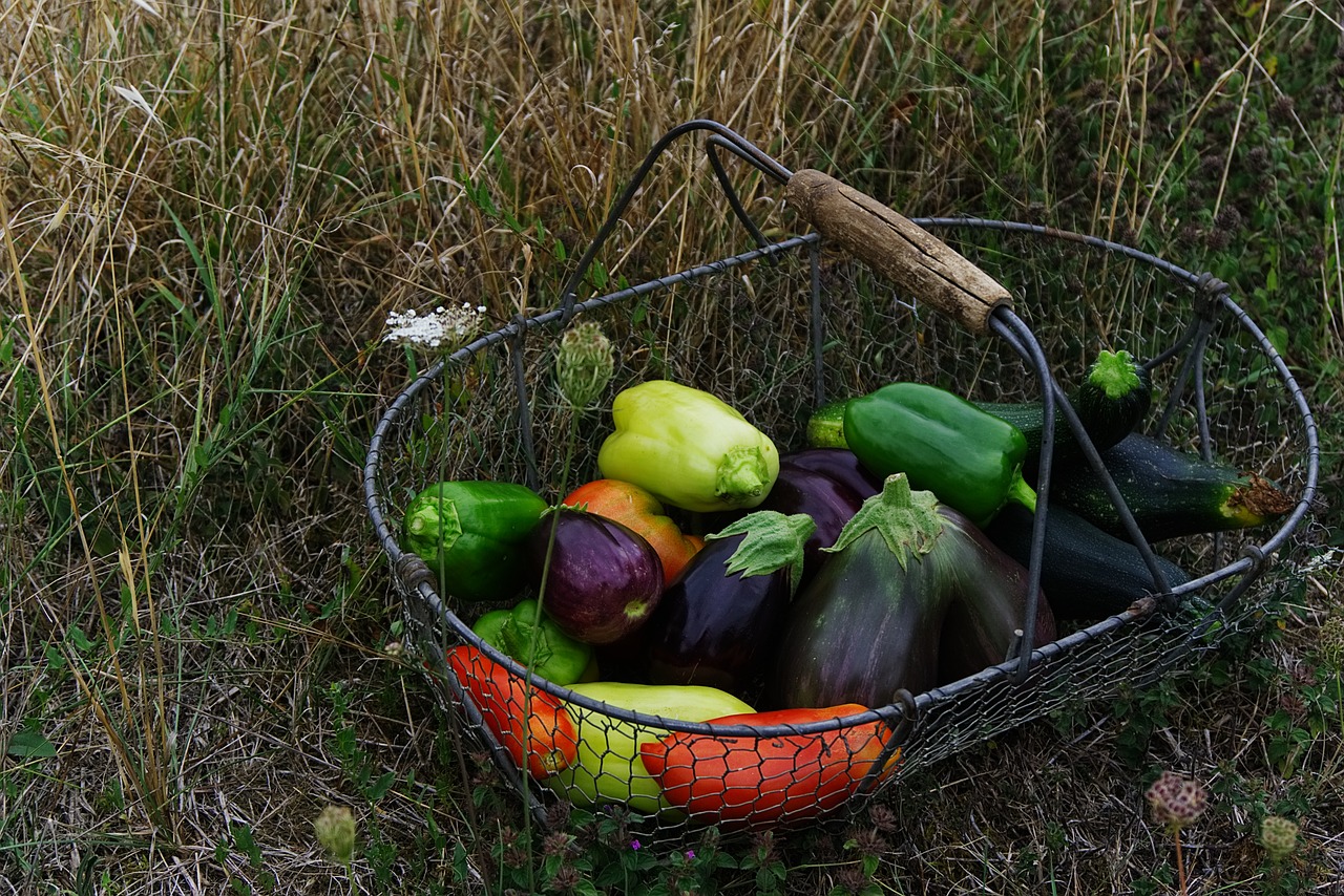 Image - vegetables basket organic vegetables