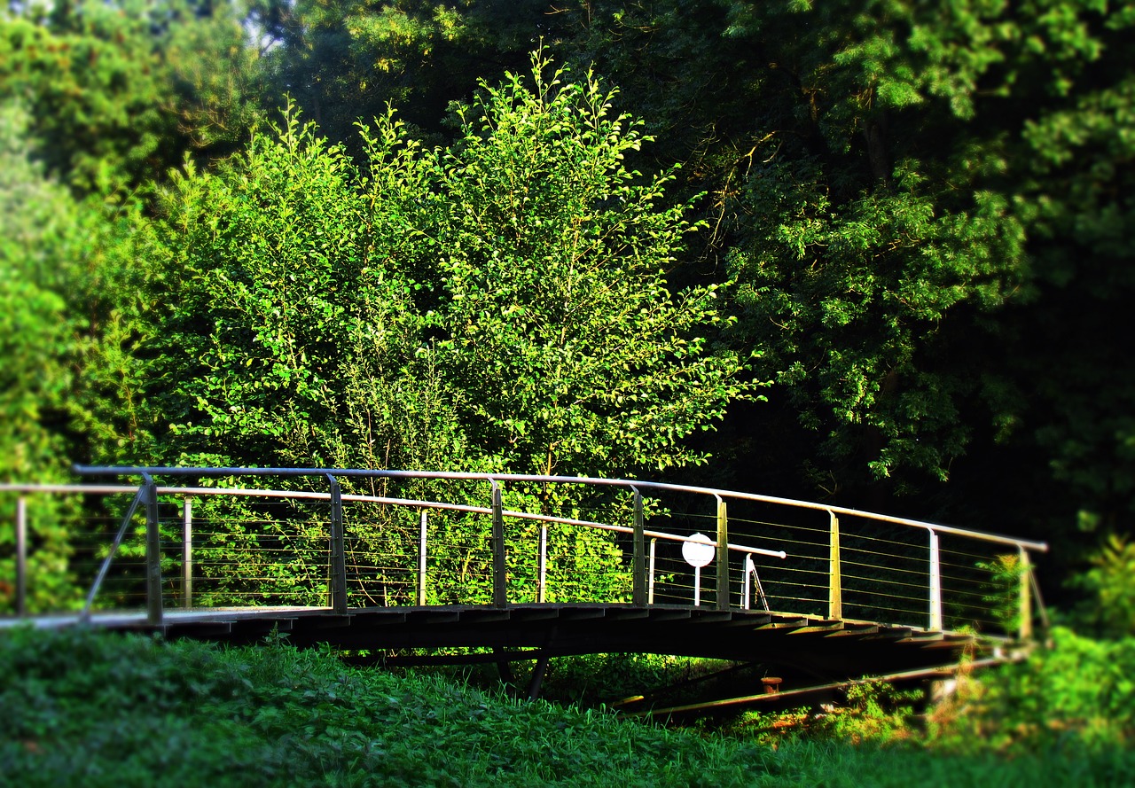 Image - landscape nature bridge footbridge