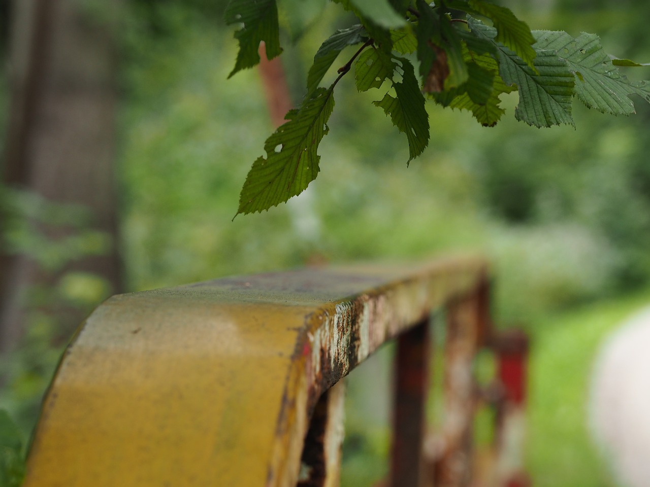 Image - railing bridge iron stainless old