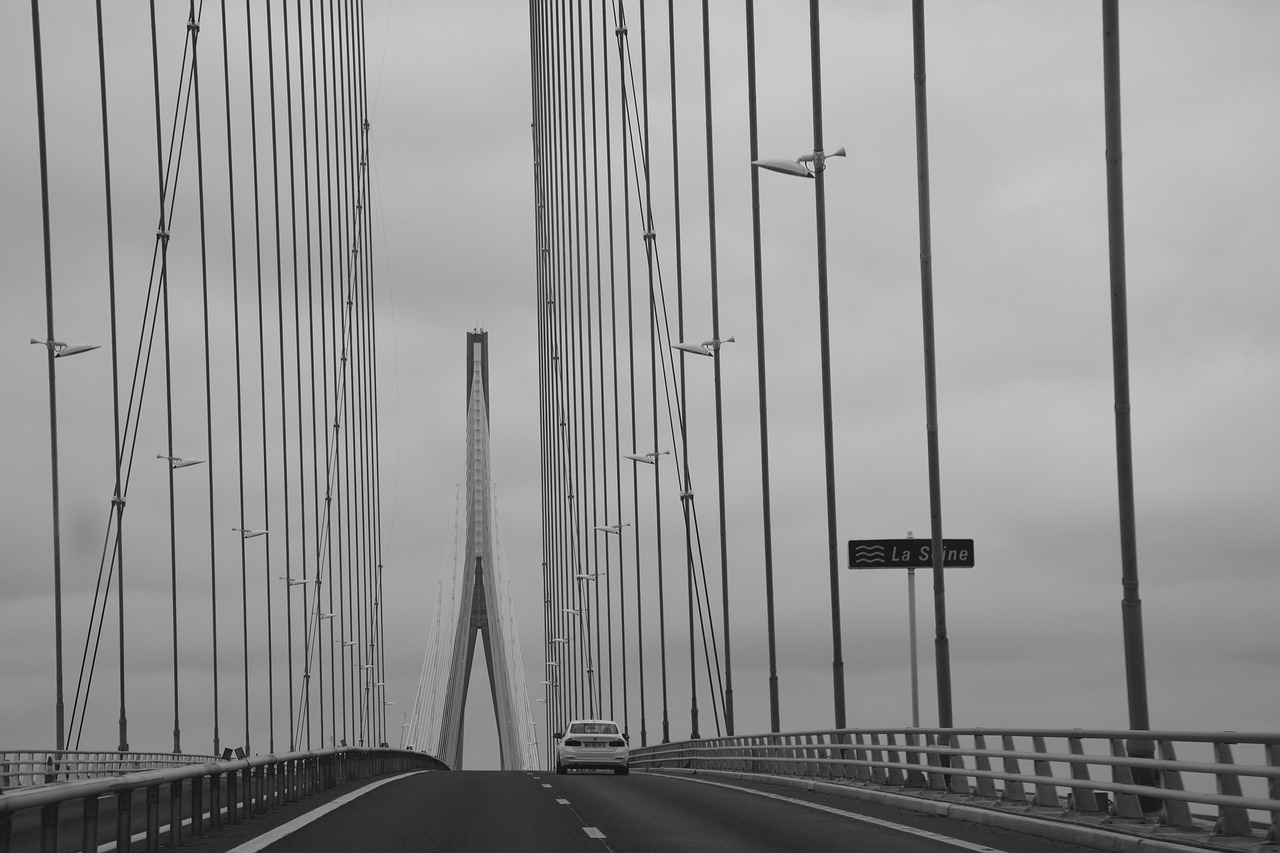 Image - bridge normandy photo black white