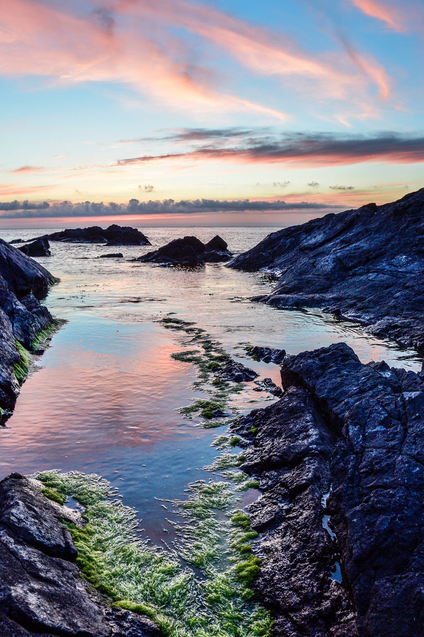 Image - ganesh red landscape moss marine