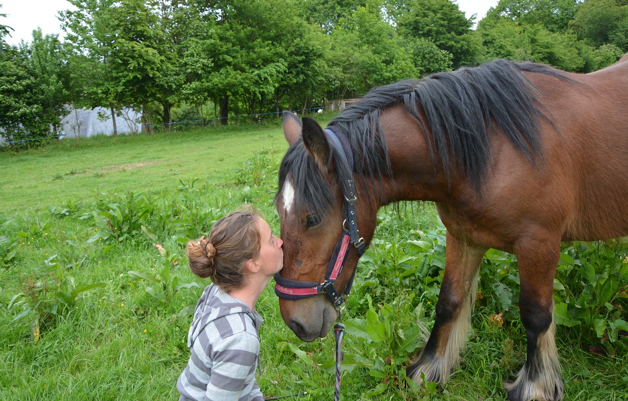 Image - kiss kisses horse girl young woman