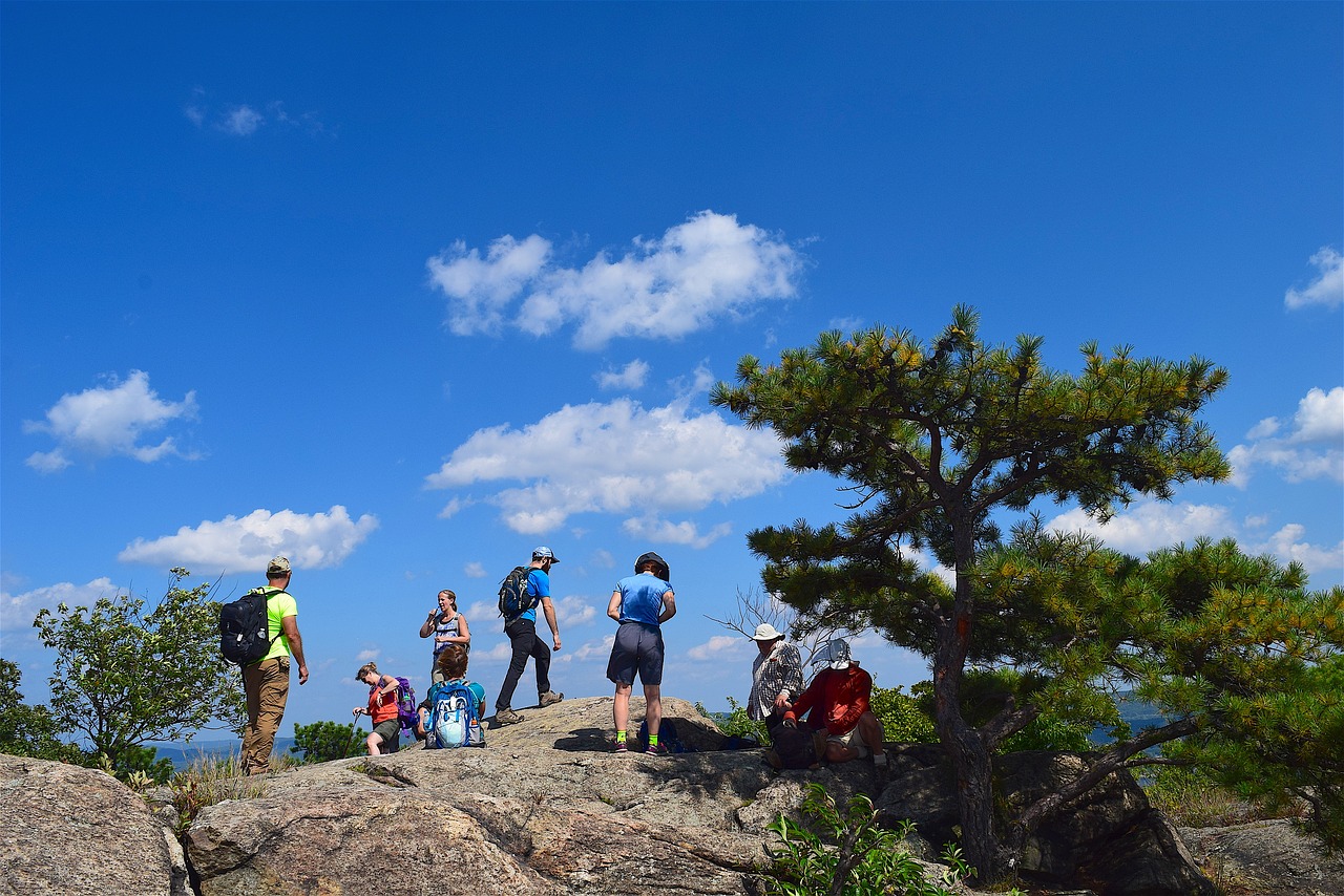 Image - mountain people tree sky hikers