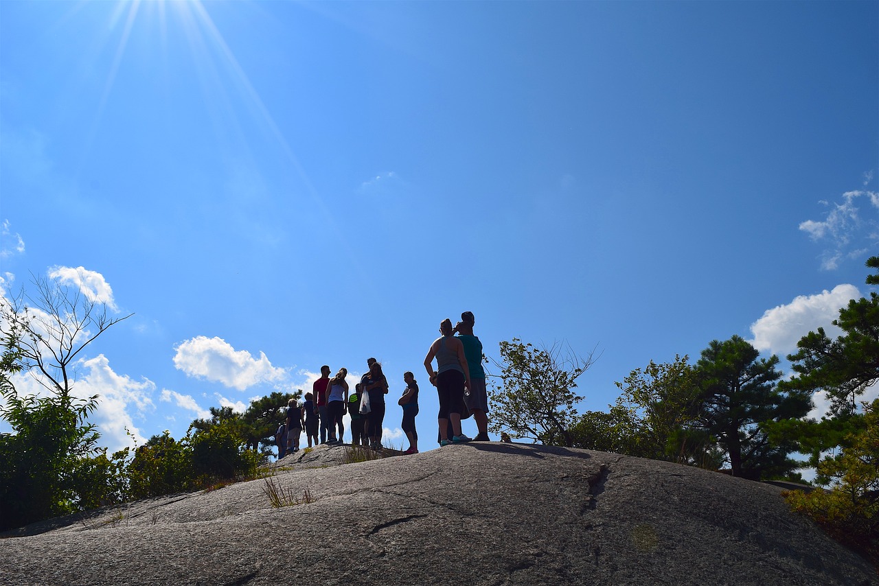 Image - mountain people tree sky hikers