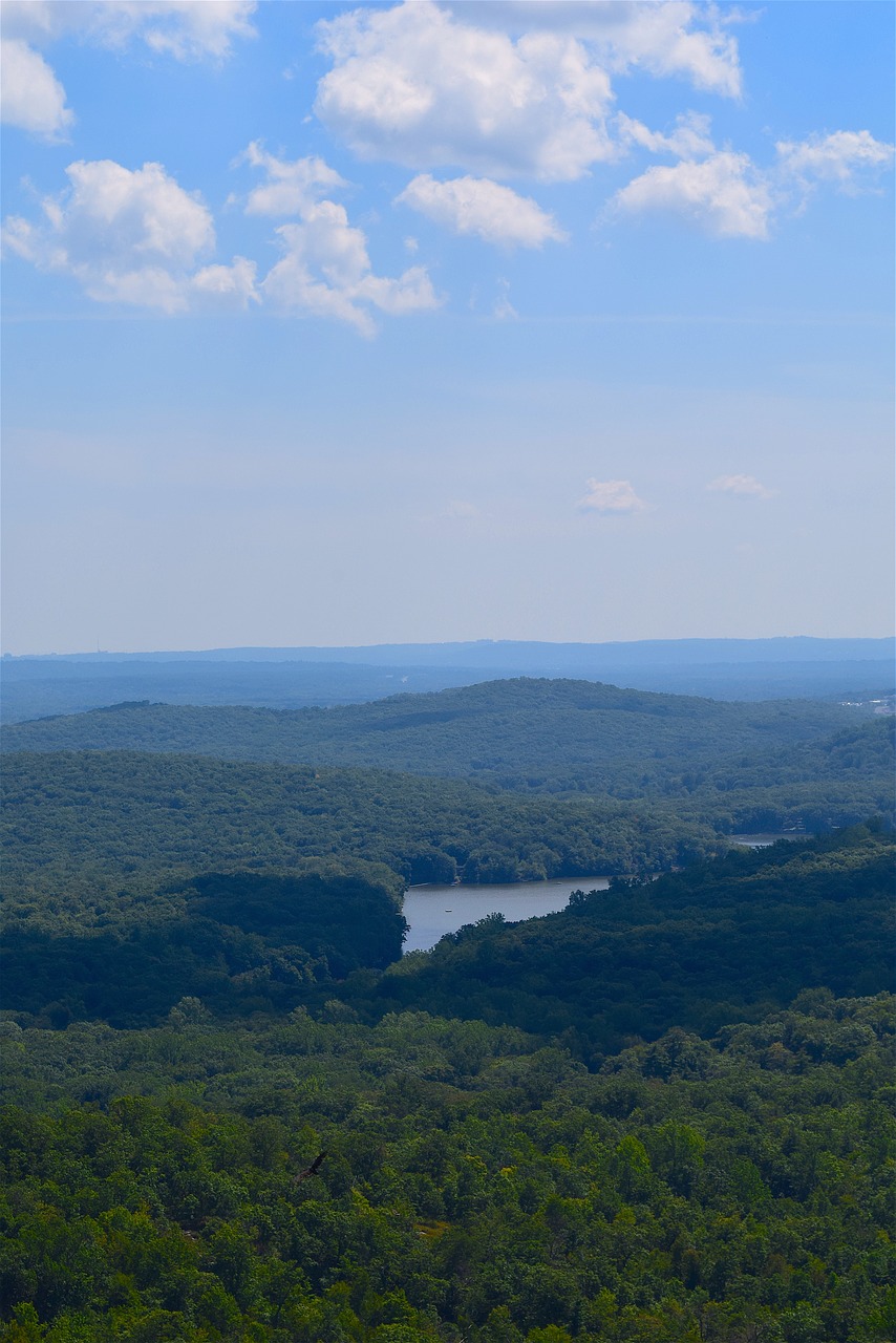 Image - mountain view lake trees sky