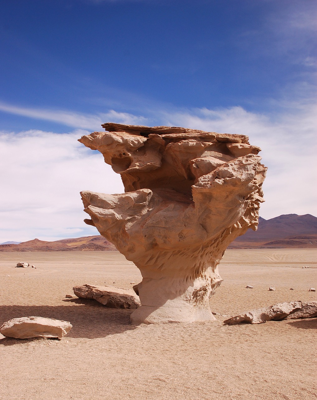 Image - bolivia laguna desert