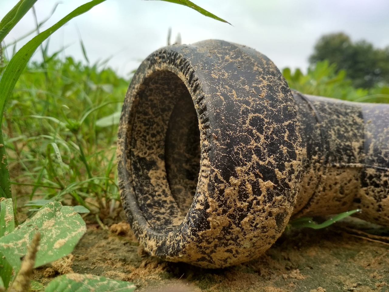 Image - nature pipe chomu